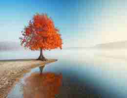 python用​什‍么‍软​件﻿编‌程﻿好﻿